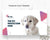 Pet Grooming Care Facebook Marketing Materials - Amber Digital