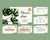 Flower Shop PowerPoint Presentation Template - Amber Graphics