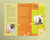 Therapist Trifold Brochure Template - Amber Graphics