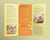 Therapist Trifold Brochure Template - Amber Graphics