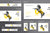 Wildlife Day Web Banner Templates Bundle - Amber Graphics