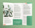 Flower Shop Trifold Brochure Template - Amber Graphics