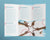 Charity Trifold Brochure Template - Amber Graphics