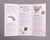 Massage Trifold Brochure Template - Amber Graphics